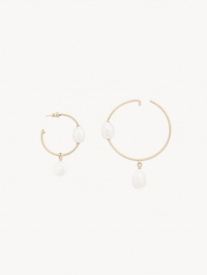 Chloe Darcey Hoop Ohrringe Gold Weiß | CHE-SR14442