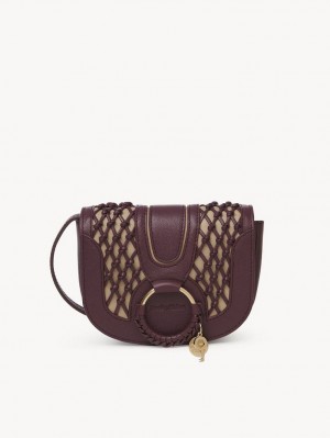 Chloe Hana Mini Taschen Braun | CHE-SR14759