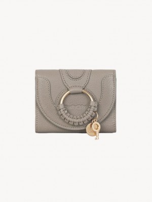 Chloe Hana Trifold Kleine Geldbörse Grau | CHE-SR14901