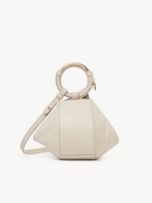 Chloe Hana Wristlet Crossbody Taschen Beige | CHE-SR14720