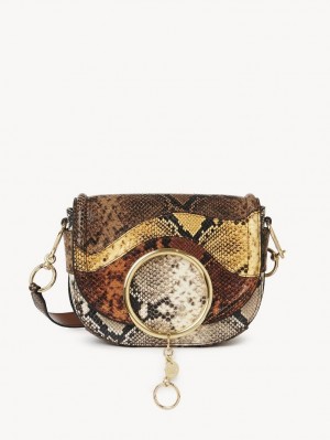 Chloe Mara Schultertaschen Braun | CHE-SR14597