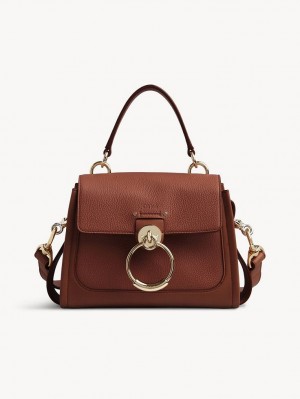 Chloe Mini Tess Day Crossbody Taschen Braun | CHE-SR13479