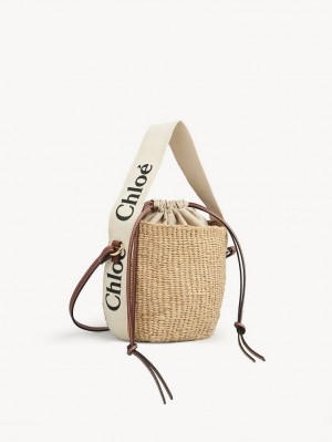 Chloe Small Woody Basket Crossbody Taschen Weiß | CHE-SR13609