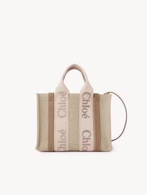 Chloe Small Woody Tragetaschen Beige | CHE-SR13384