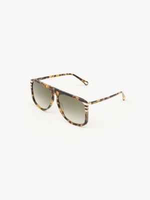 Chloe West Sonnenbrille Havana | CHE-SR14565