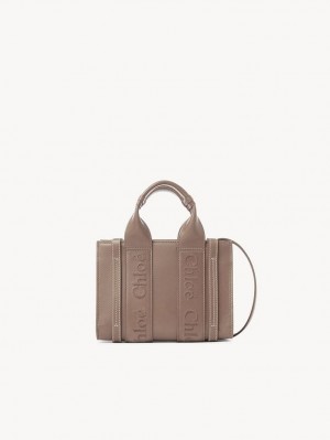 Chloe Woody Tote 1 Mini Taschen Braun | CHE-SR13728