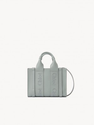 Chloe Woody Tote 1 Mini Taschen Grün | CHE-SR13697