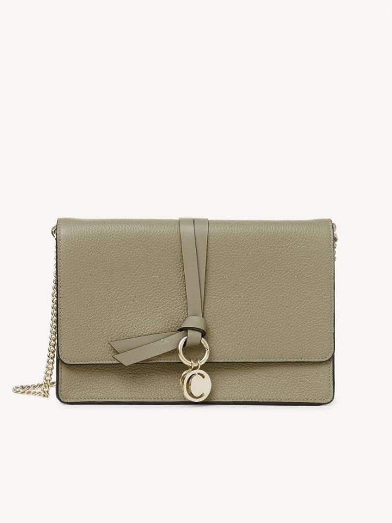 Chloe Alphabet Clutch Crossbody Taschen Grün | CHE-SR13481