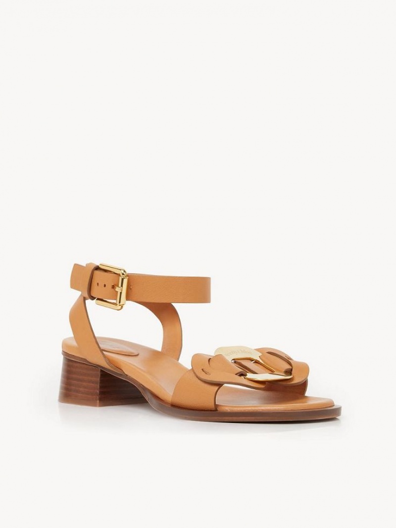 Chloe Chany High-heel Sandalen Braun | CHE-SR14828