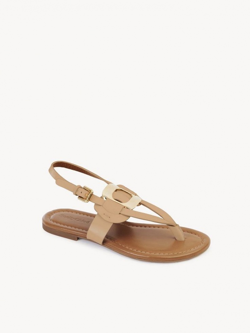 Chloe Chany Sandalen Braun | CHE-SR14824