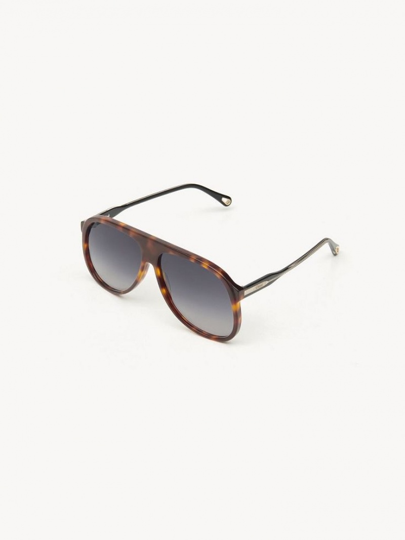 Chloe Dannie Sonnenbrille Schwarz | CHE-SR14569