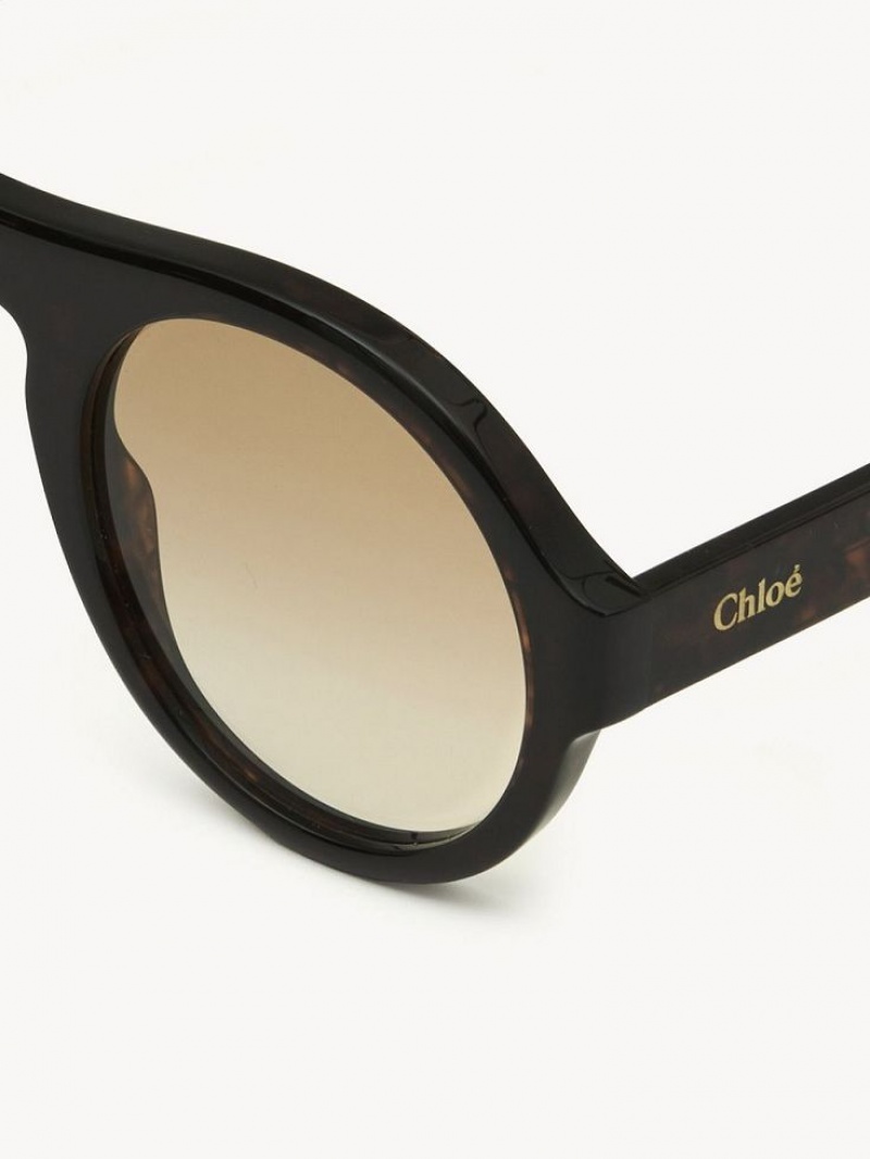 Chloe Gayia Sonnenbrille Schwarz | CHE-SR14572