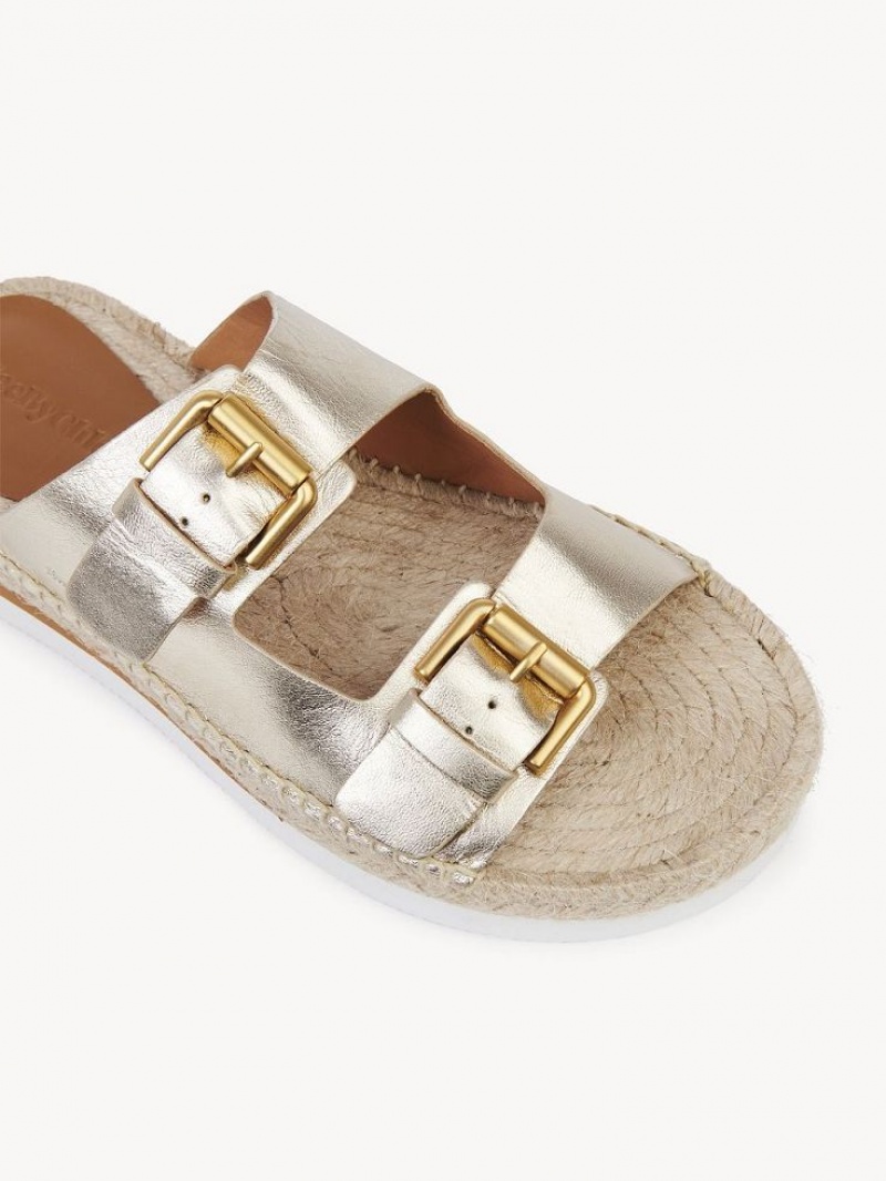 Chloe Glyn Plattform Espadrilles Sandalen Silber | CHE-SR14802