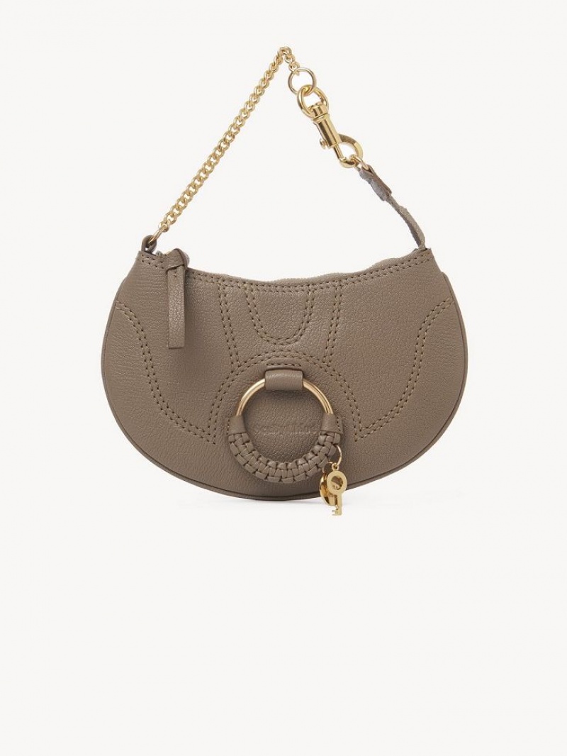 Chloe Hana Clutch Mini Taschen Grau | CHE-SR14769