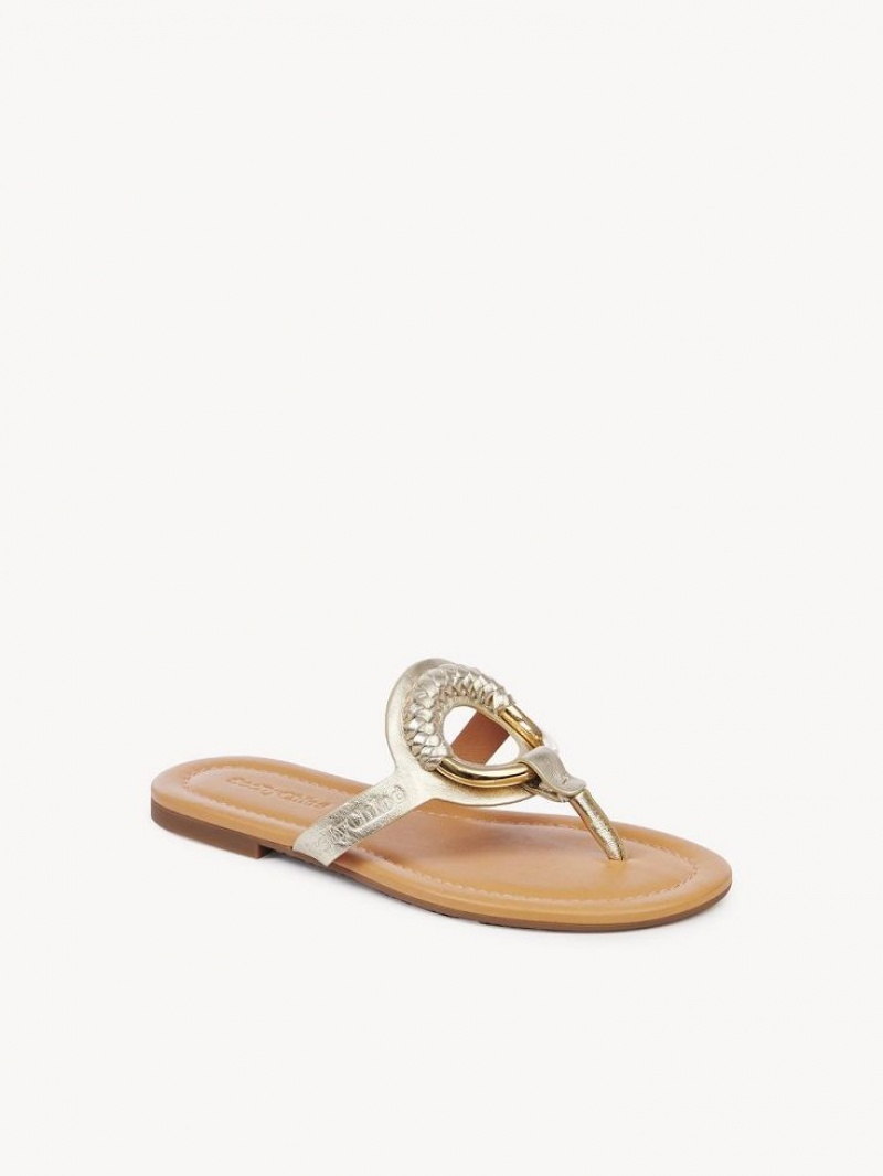 Chloe Hana Flip-flop Flache Schuhe Silber | CHE-SR14829