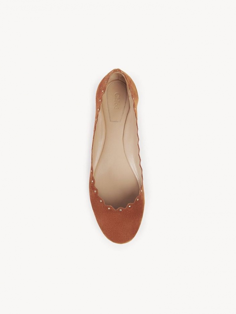 Chloe Lauren Ballet Flat Braun | CHE-SR14254