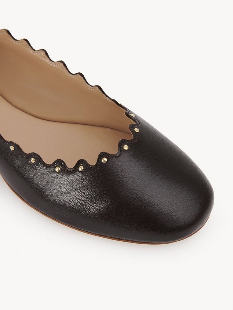 Chloe Lauren Ballet Flat Schokolade | CHE-SR14253