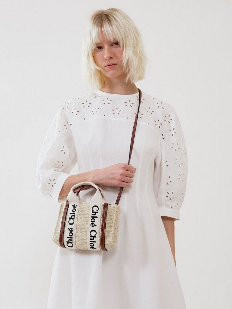 Chloe Mini Woody Crossbody Taschen Braun Beige | CHE-SR13585