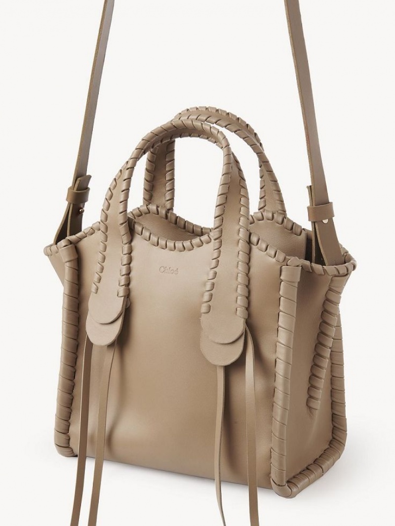 Chloe Small Mony Tragetaschen Braun | CHE-SR13400