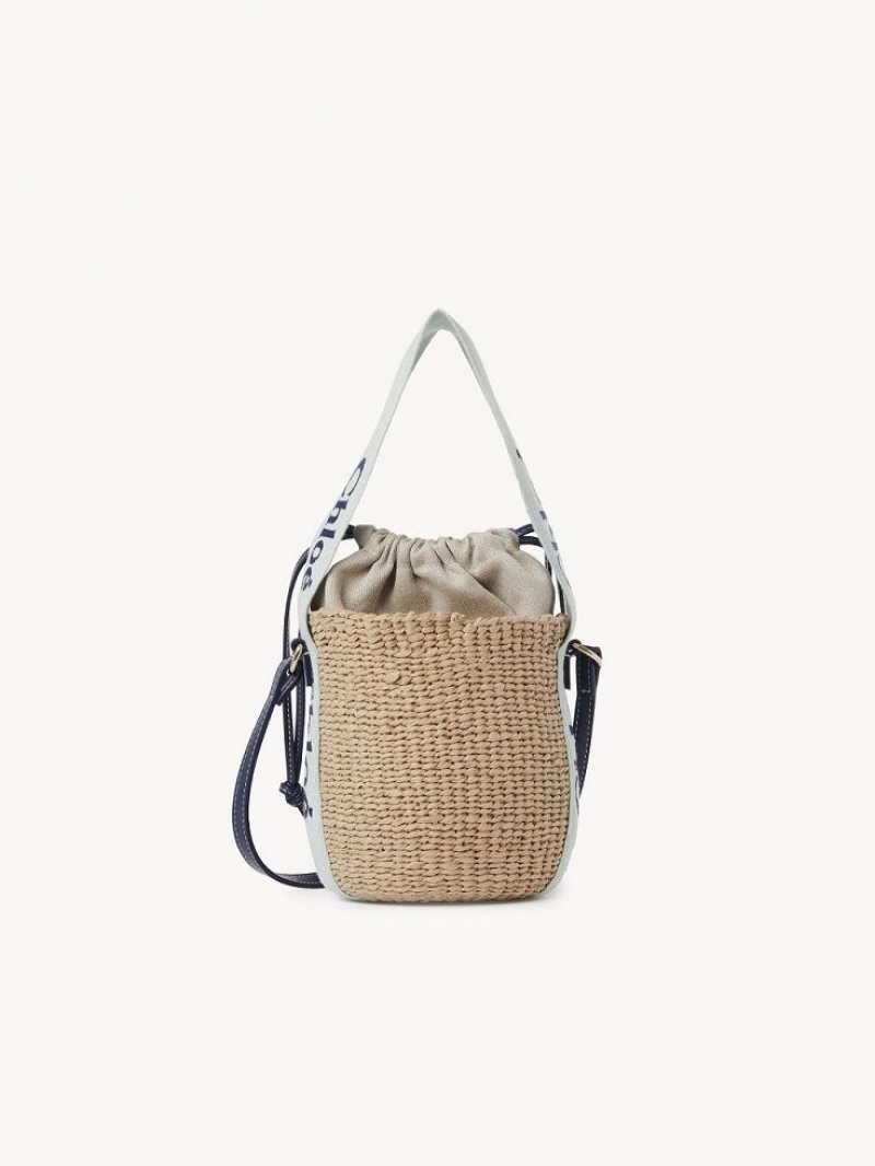 Chloe Small Woody Baskets Grün Blau | CHE-SR13643