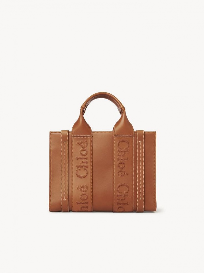 Chloe Small Woody Crossbody Taschen Braun | CHE-SR13535