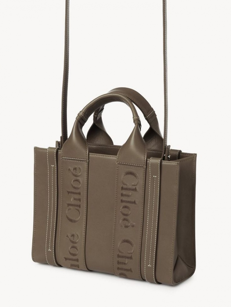 Chloe Small Woody Tragetaschen Grün | CHE-SR13339