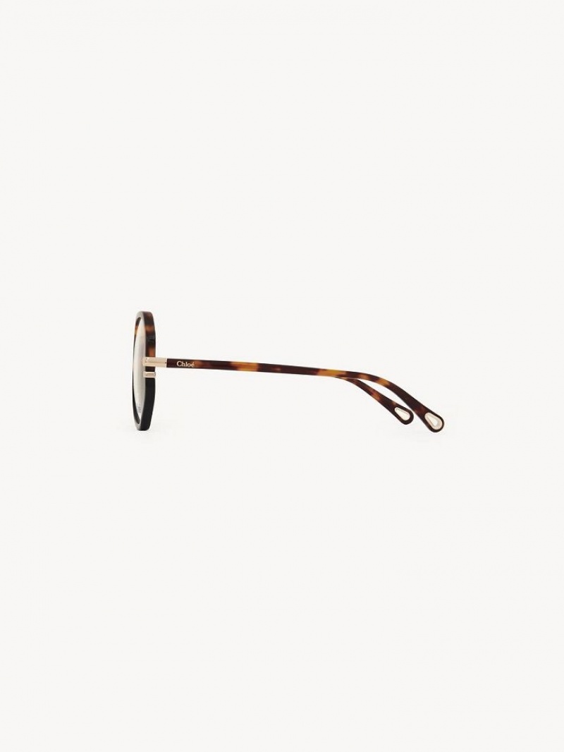 Chloe West Brille Havana | CHE-SR14584