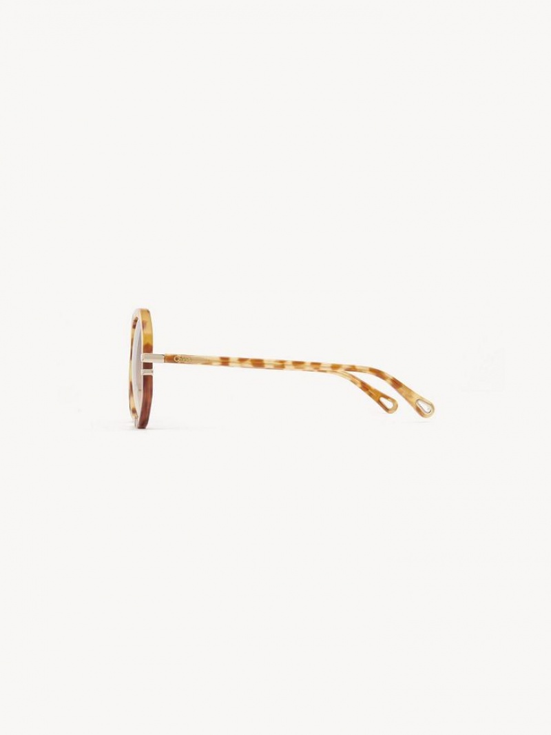 Chloe West Small Sonnenbrille Havana Patchwork | CHE-SR14518