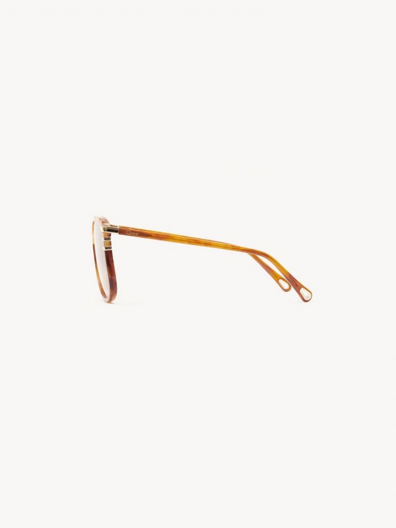 Chloe West Sonnenbrille Havana Patchwork | CHE-SR14564