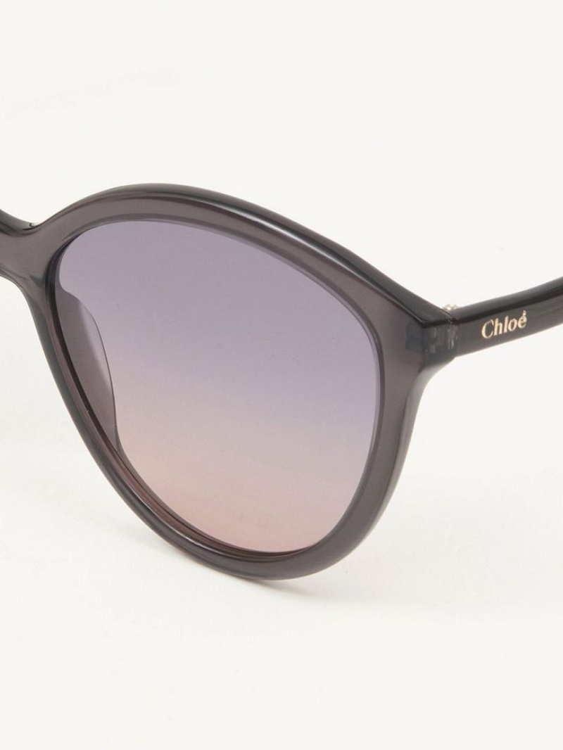 Chloe Zelie Sonnenbrille Grau | CHE-SR14557